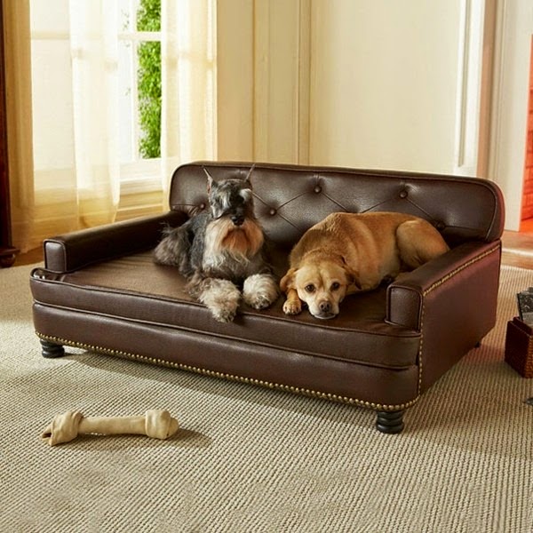 20 cool gift ideas for dogs