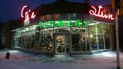 Winter storm Jonas, the Blizzard of 2016, has knocked out some of our neon at Stein Your Florist Co.