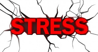 Những mặt lợi hại của stress đối với sức khỏe