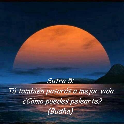 sutras buda