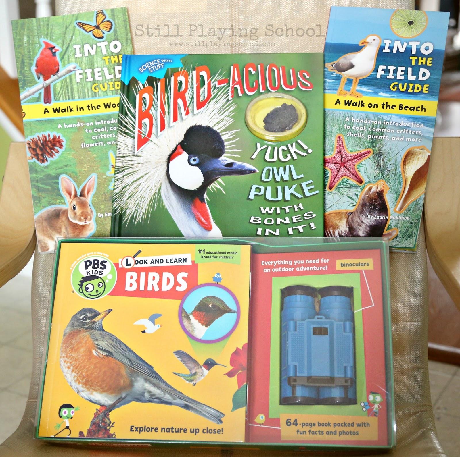 Tips for the Great Backyard Bird Count with Kids Still Playing School