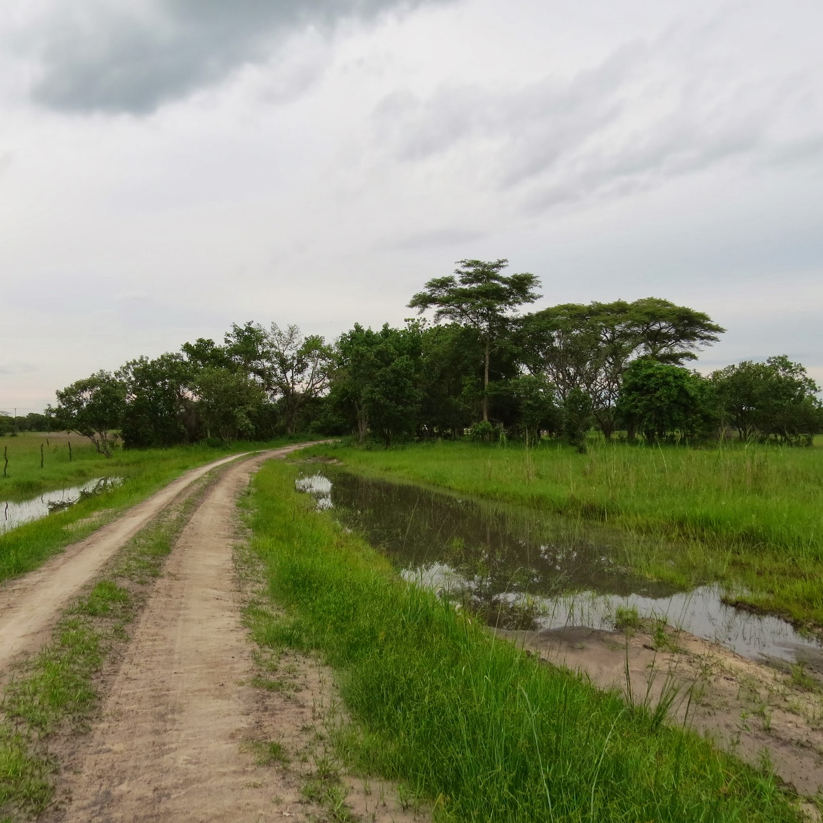 African Queen Life on a farm in Zambia
