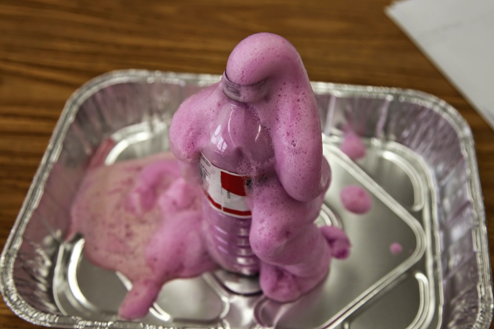 Elephant Toothpaste Experiment Questions