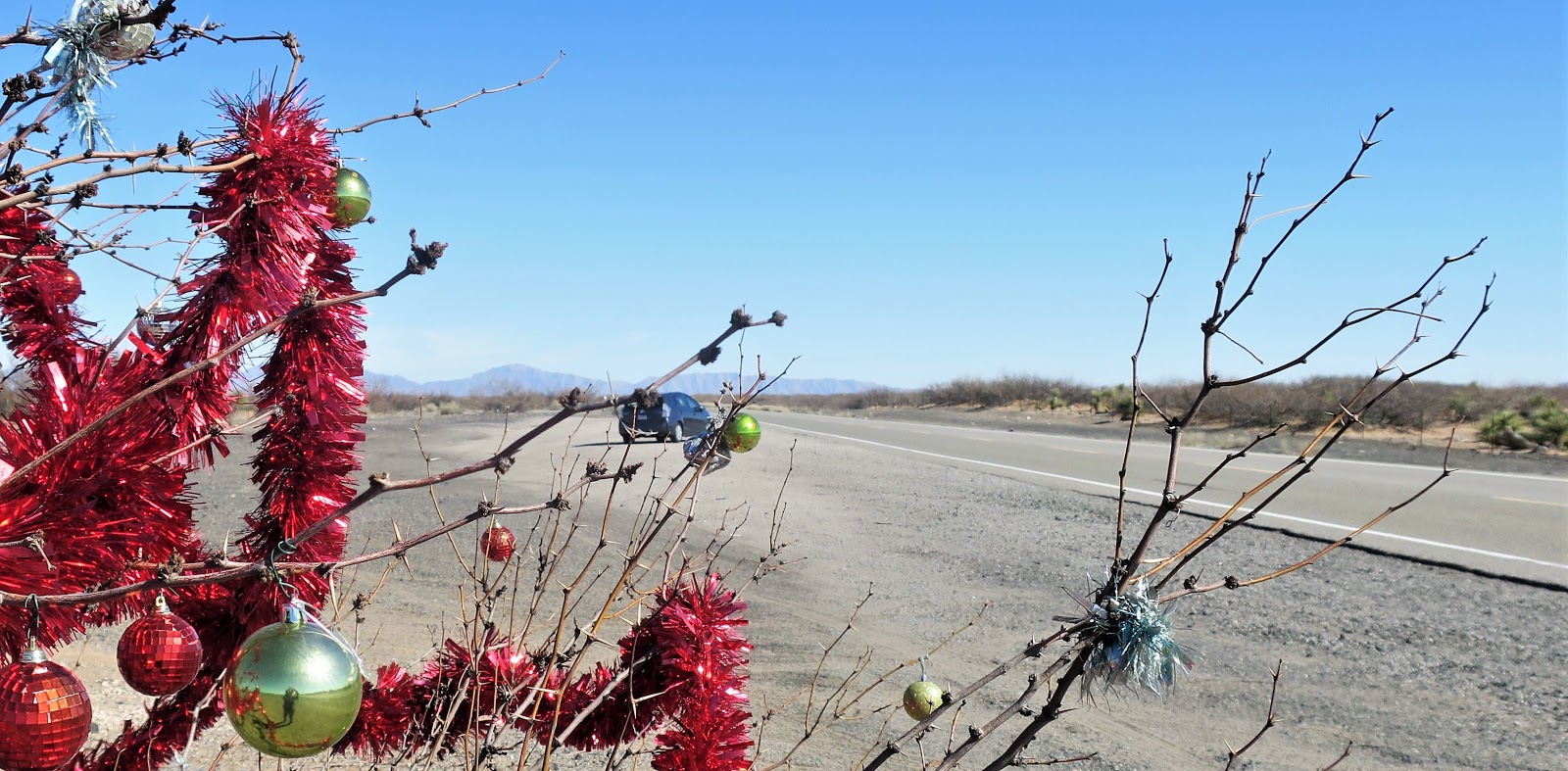Living Rootless El Paso 2019 to Columbus NM Highway 9 Red Sparklies