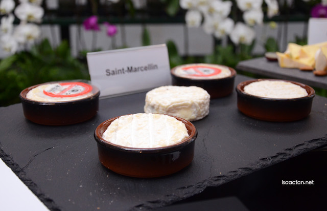 Saint Marcellin cheese