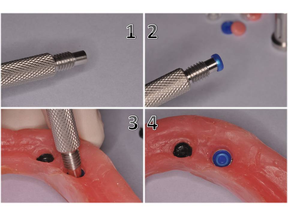 Dental Clinical Case Presentations StepbyStep guides