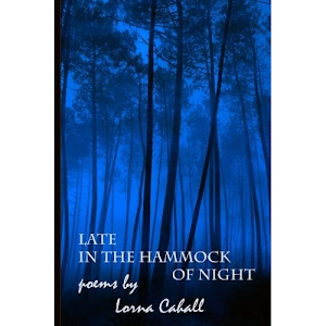 Late in the Hammock of Night