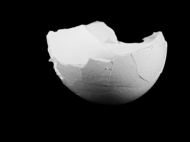 eggshell isolated- black background