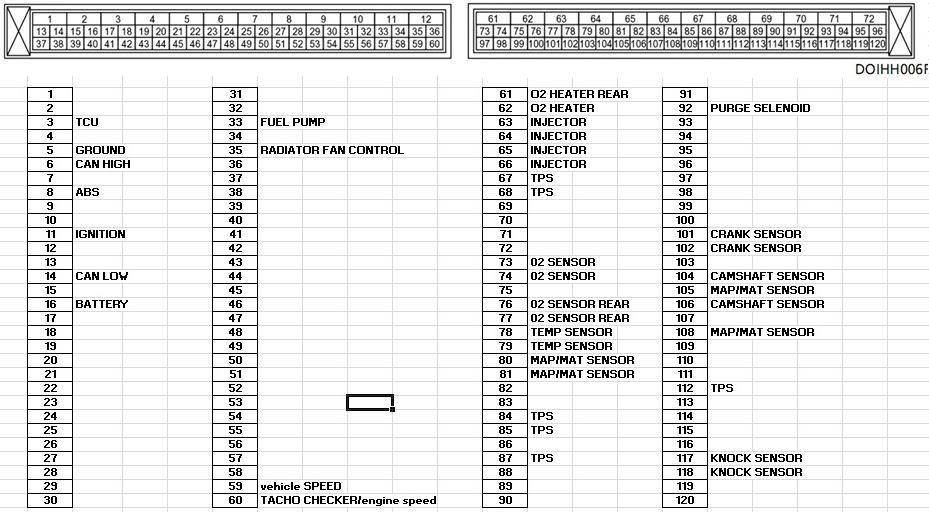 mr.Budok Guchil Lamo Campro ECU Pin Out With haltech sp500