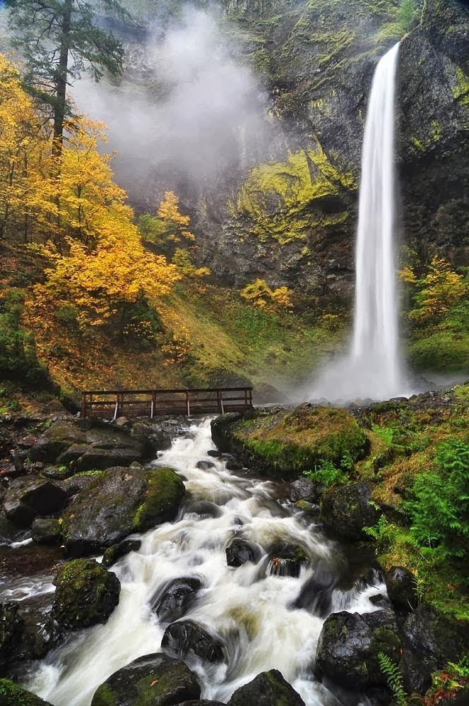 Stunning Elowah Falls, Columbia River Gorge, Oregon, USA Stunning Elowah Falls, Columbia River Gorge, Oregon, USA