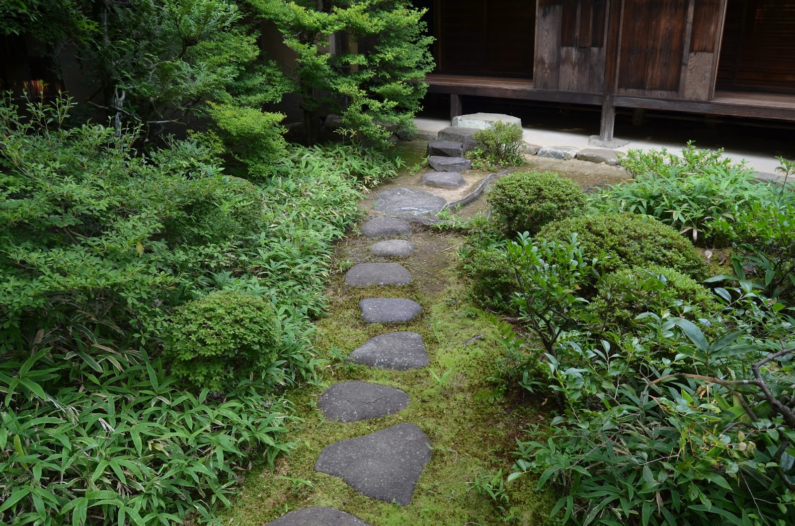 Noel's Garden Blog: A hard look at the Japanese garden - Part One