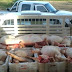 Abatedouro clandestino é interditado e 1,6 tonelada de carne é apreendida no oeste da Bahia