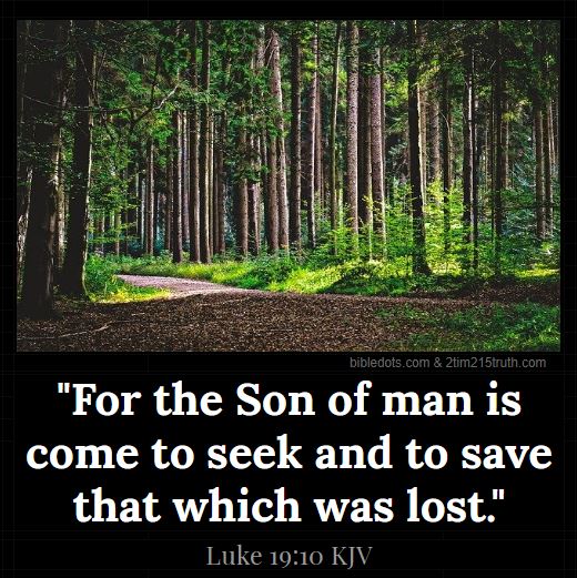 2-timothy-2-15-truth-verse-of-the-day-luke-19-10-kjv