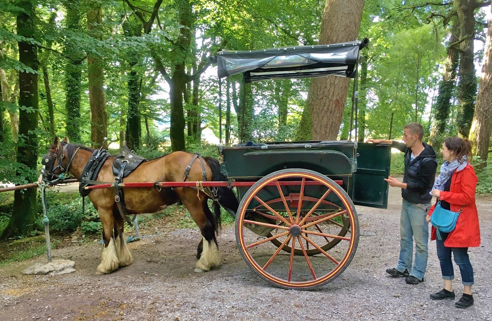 Gypsy Monika How To Hire A Jaunting Car In Killarney National Park