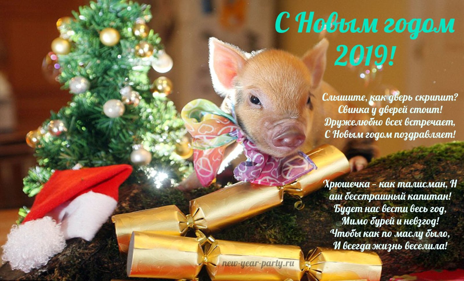 Фото Новый Год 2022 Бесплатно Фото Новый Год 2022 Бесплатно