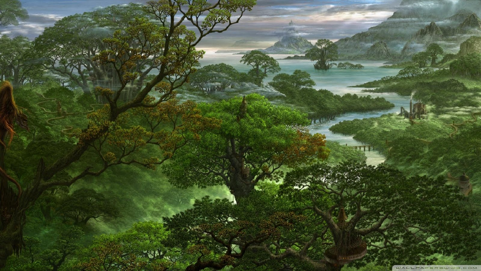 HD Jungle Wallpapers ~ Landscape Wallpapers|HD Wallpapers|Nature Wallpapers
