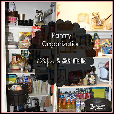Organization