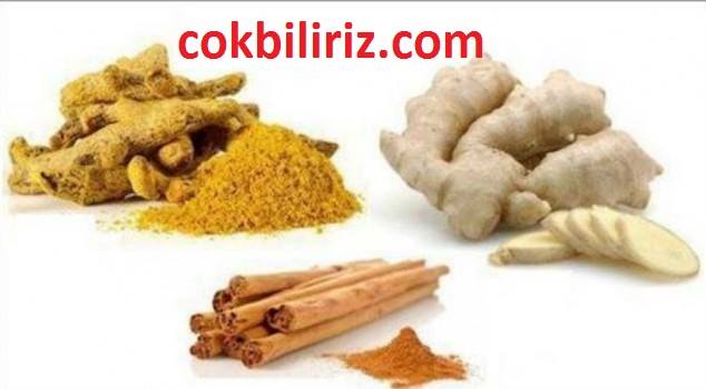 Haftada 3 Kilo Zayıflatan Zerdeçallı Yoğurt Kürü Tarifi