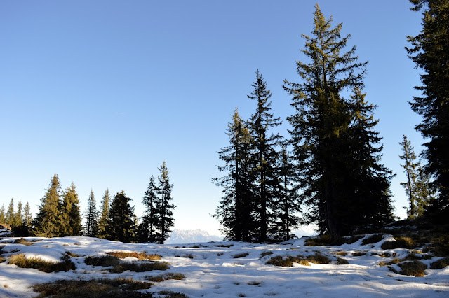 escursione in tirolo alpbach