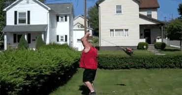 My insane neighbour Funny-hedge-trimmer-animated-gif