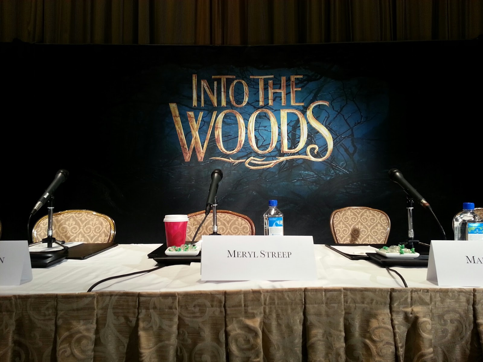 Disney Into The Woods NYC Press Junket. IntoTheWoods
