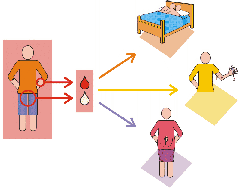 VIHSIDA/VPH en Alvarado. VIH/SIDA. VIHSIDA/VPH en Alvarado. VIH/SIDA.