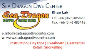 sea dragon dive center