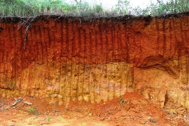 Tanah Ultisol Adalah - Perumperindo.co.id