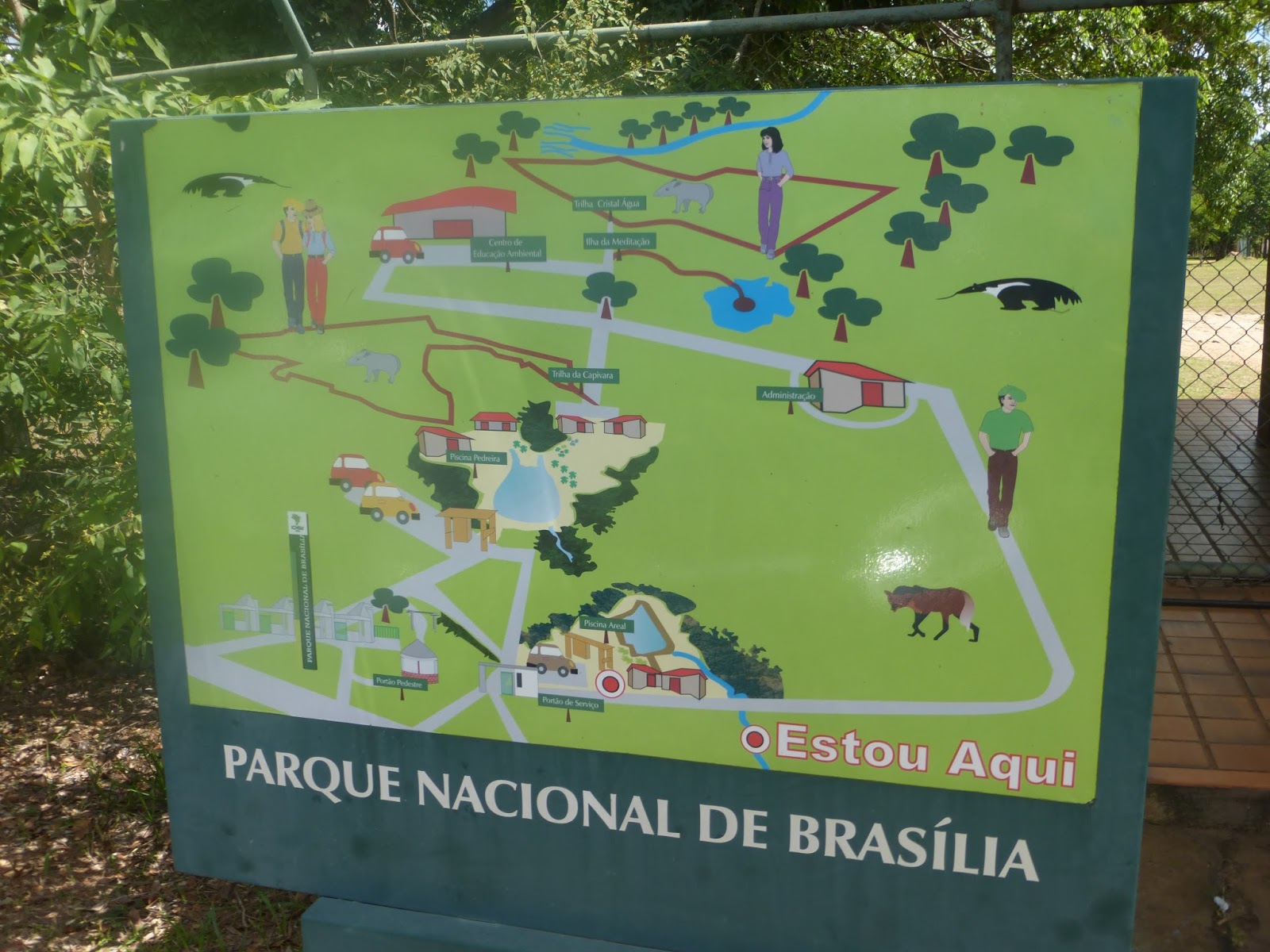 COMO É O PARQUE ÁGUA MINERAL, O PARQUE NACIONAL DE BRASÍLIA? DIVERSÃO COM  PISCINA, TRILHAS E MACACOS 