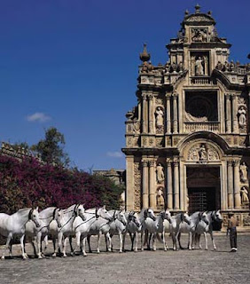 Yeguada de Cartuja, Jerez