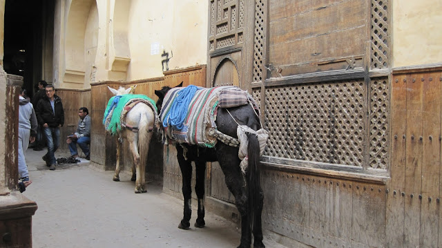 Mulas para el transporte en el interior de la medina de Fez