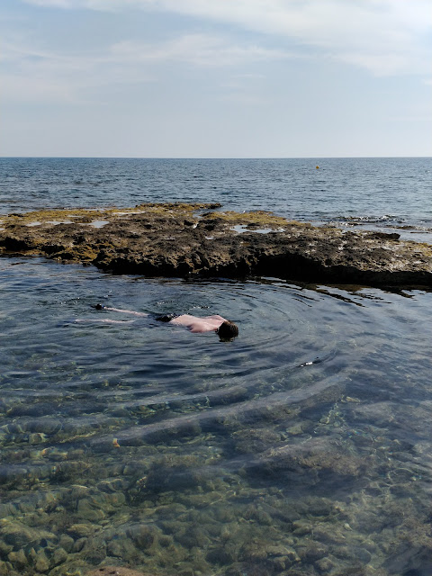 Snorkelling in rock pool at Timi Beach, Cyprus #simplysnorkelling