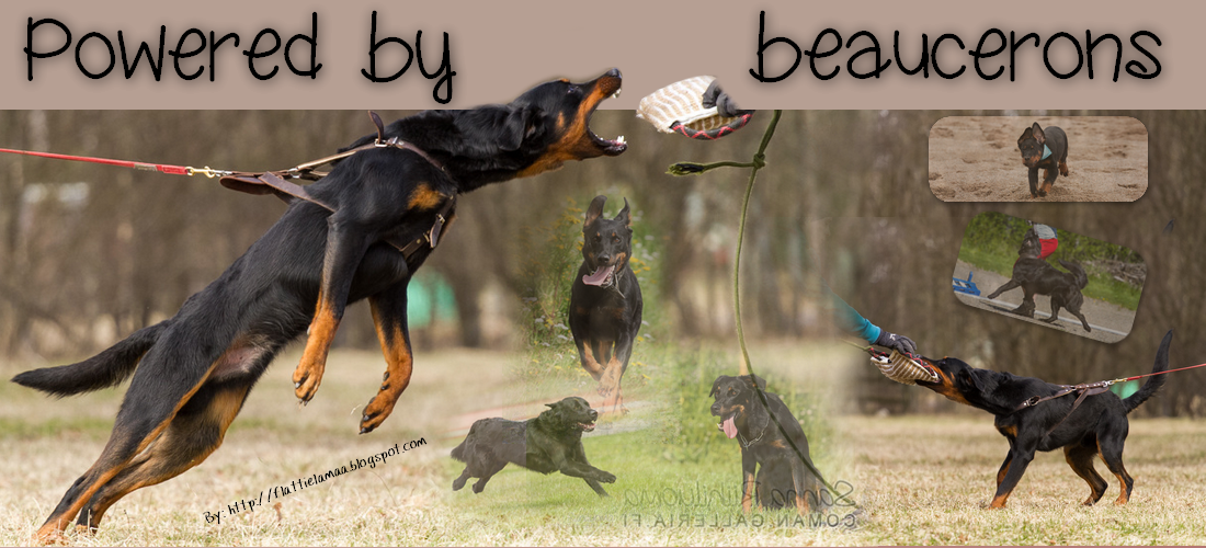 Powered by Beaucerons
