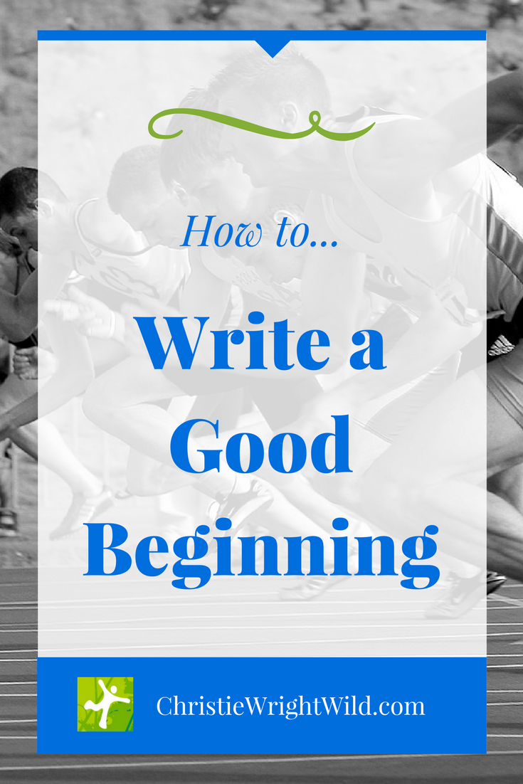 Write Wild: HOW TO WRITE A GOOD BEGINNING