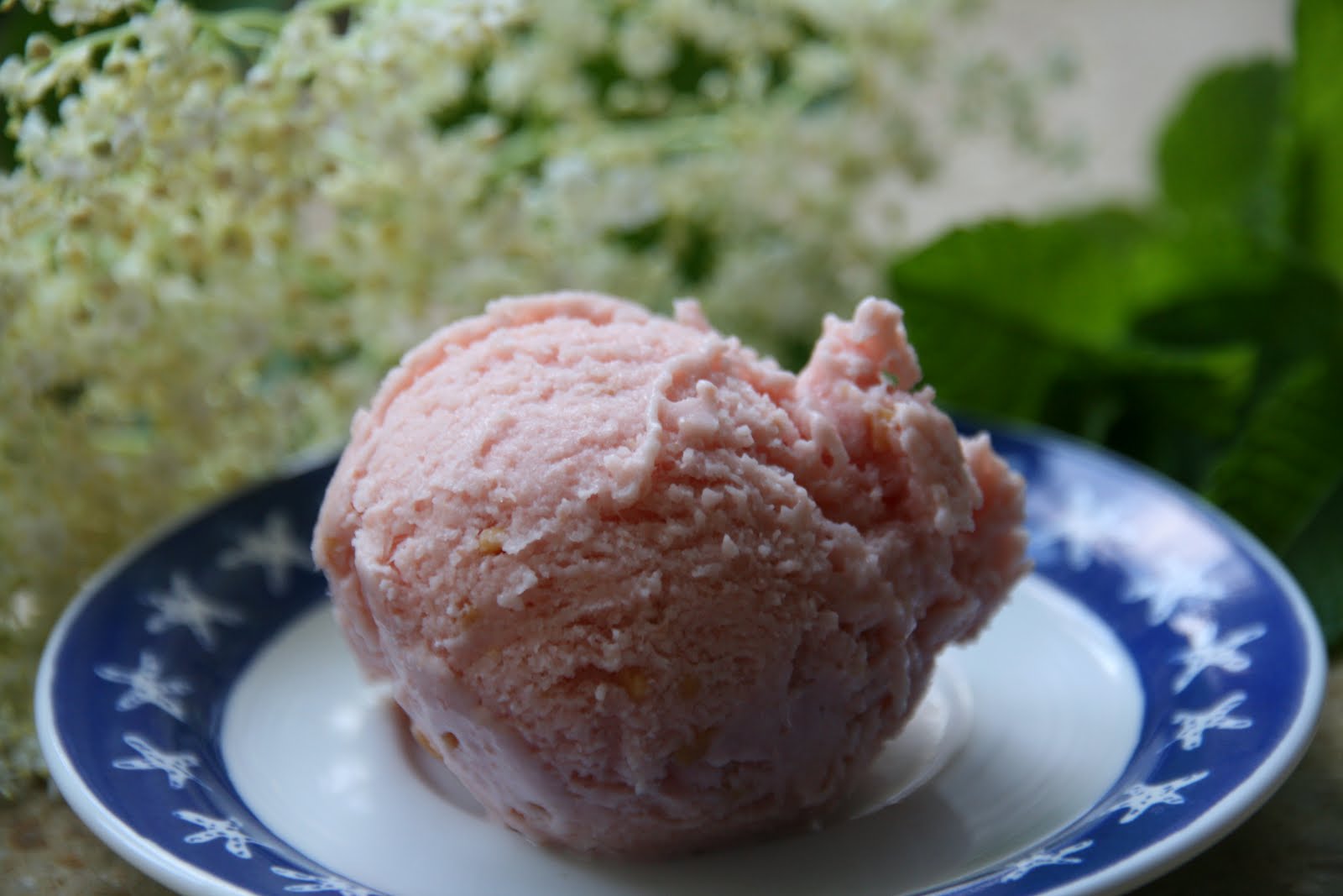 Dolce: Frozen Jogurt mit Guave