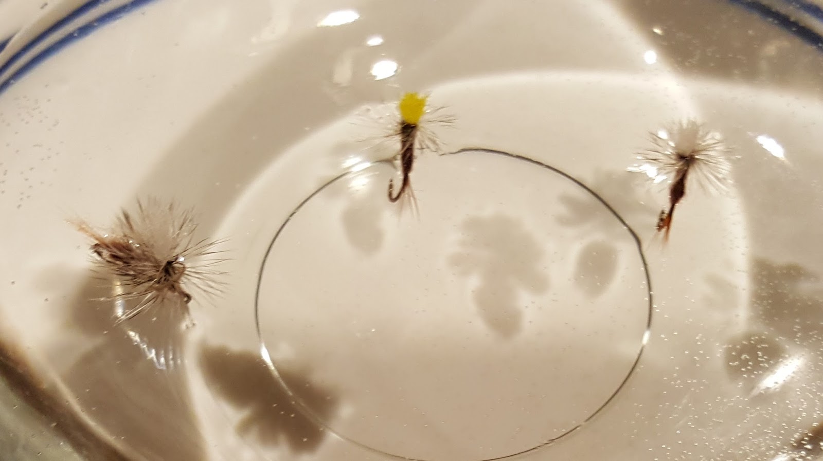 Novice Fly Fisherman Central Virginia Small Fish, Big Tales RainX