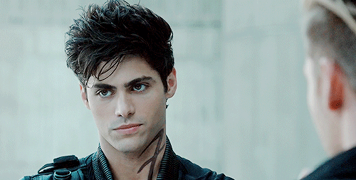 matthew daddario memes shadowhunters polska urodziny matthew daddario matthew daddario memes shadowhunters polska urodziny matthew daddario
