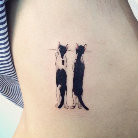 Tatuagens de gato Tatuagens de gato