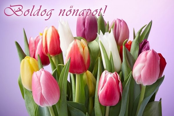 Réka útja: Nőnap