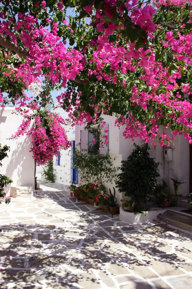 vacances Prodromos, Paros, Cyclades, Grèce