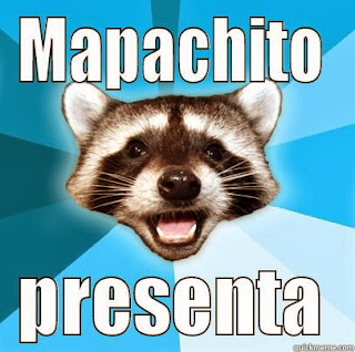 raccoon meme meme mapache friki