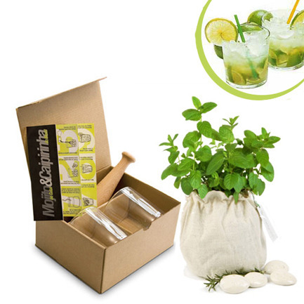 Set de mojito con planta de menta - Foto: www.regalosecology.com Set de mojito con planta de menta - Foto: www.regalosecology.com