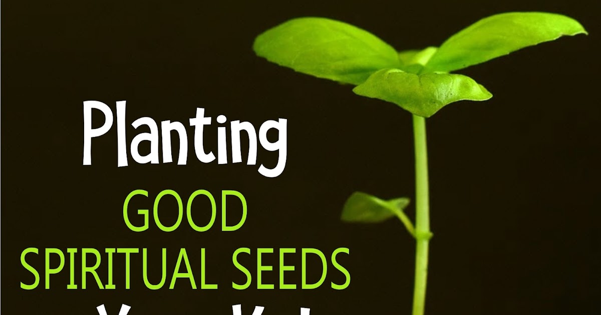 Planting Good Spiritual Seeds in Your Kids In Our Pond