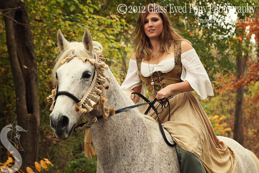 Picture Trails; The Shadow Horse Studios Blog Medieval Maiden