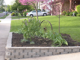 Waiting 'til Next Year...: Before & After - Front Yard