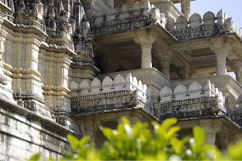 INDIA 2011: Jain Temple