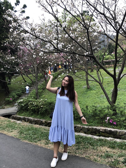 2018陽明山花季 2018陽明山花季