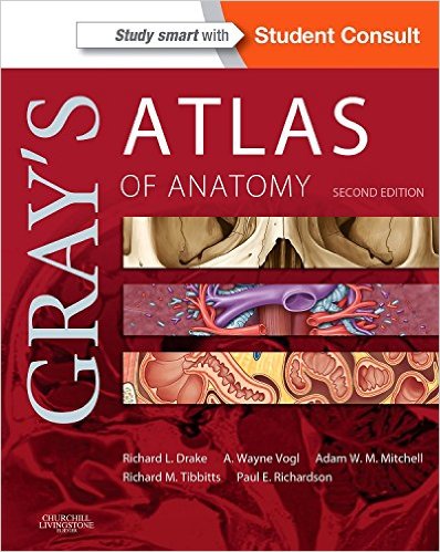 Free Download Medical Ebook: Gray’s Atlas of Anatomy, Second edition