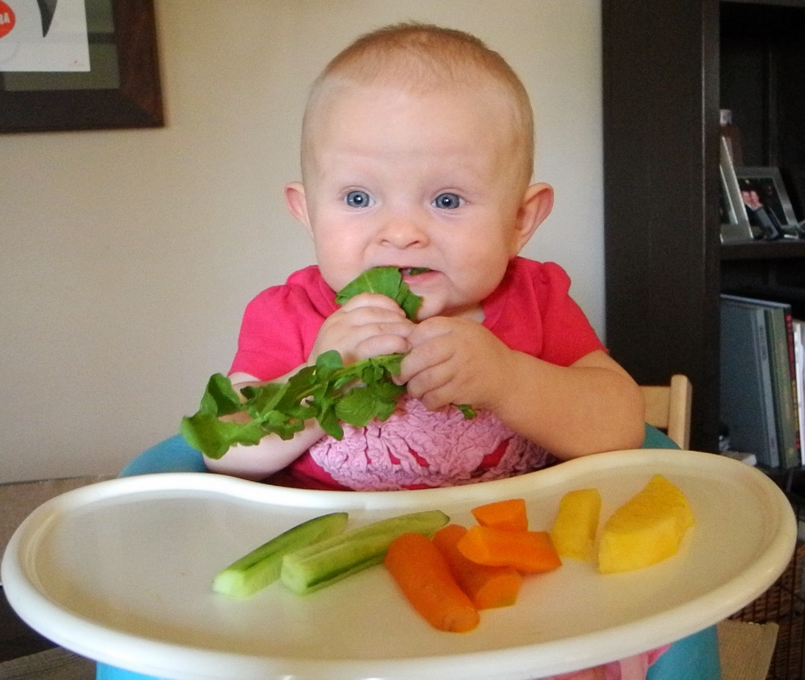 Kumpulan Gambar  Lucu Bayi  Bayi  Belajar Makan  Sendiri 2022