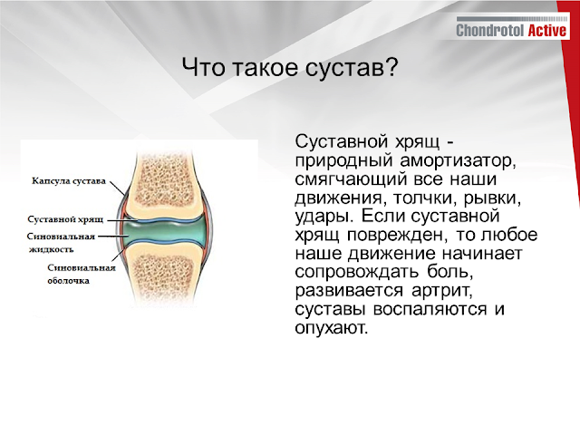 купить Артлайф Артлайф Беларусь в Гомеле, Минске, Бресте, Могилеве, Витебске, Гродно